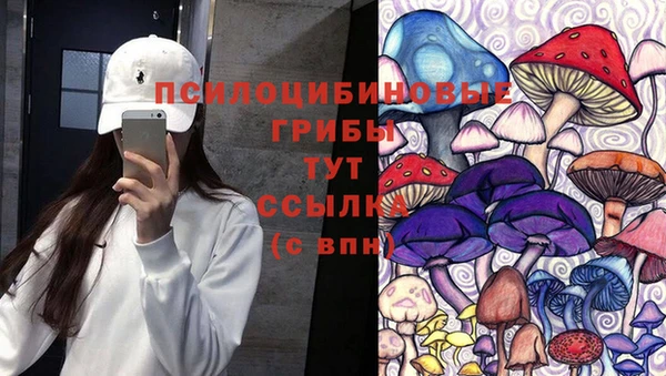 гидропоника Абинск