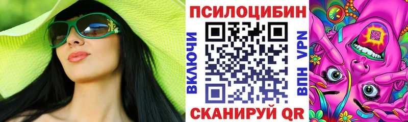 Галлюциногенные грибы Psilocybine cubensis Никольск